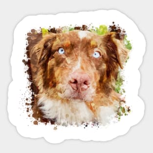 Australian Shepherd Sticker